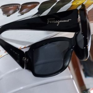 Ferragamo Sunglasses